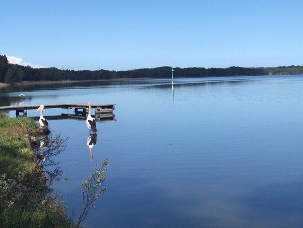 Photo scenic view of lake against clear sky