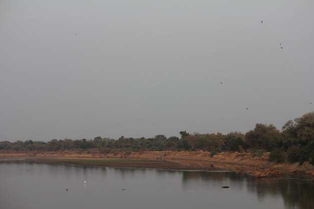 Scenic view of lake against clear sky