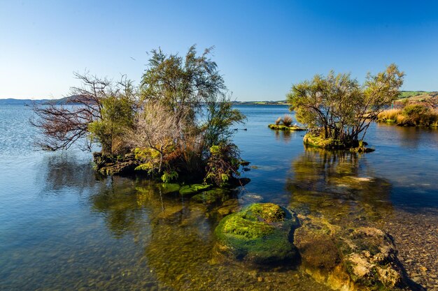 Foto vista panoramica del lago contro un cielo limpido