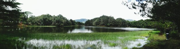 Photo scenic view of lake against clear sky