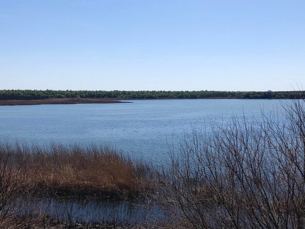 Scenic view of lake against clear sky