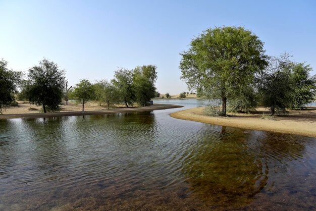 Scenic view of lake against clear sky