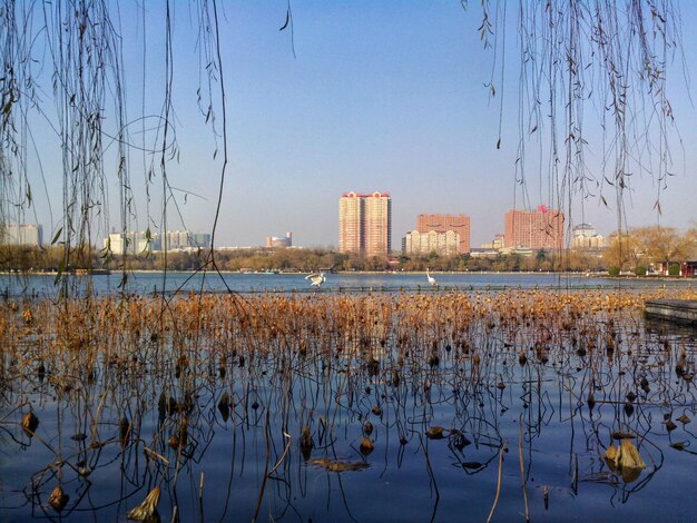 Photo scenic view of lake against clear sky