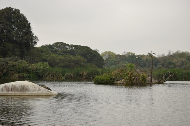 Scenic view of lake against clear sky