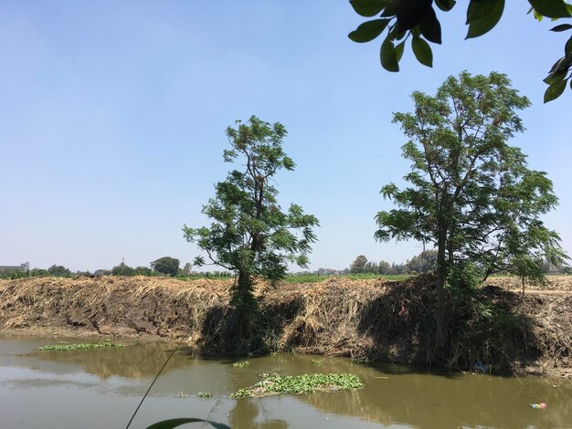 Scenic view of lake against clear sky