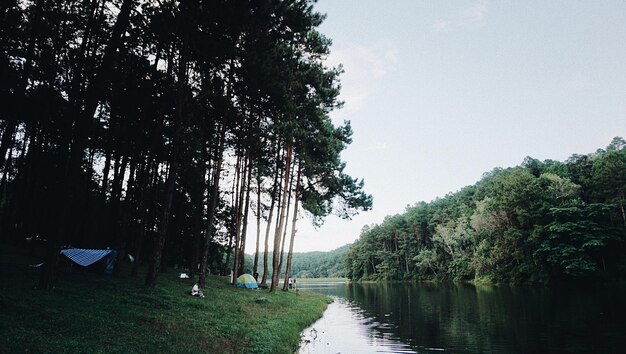 Scenic view of lake against clear sky