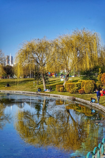 Photo scenic view of lake against clear sky