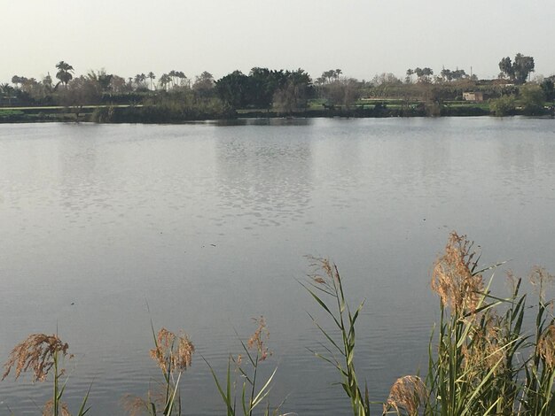 Scenic view of lake against clear sky