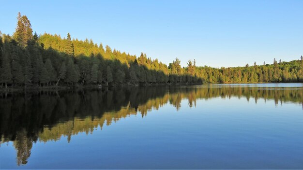 Scenic view of lake against clear sky