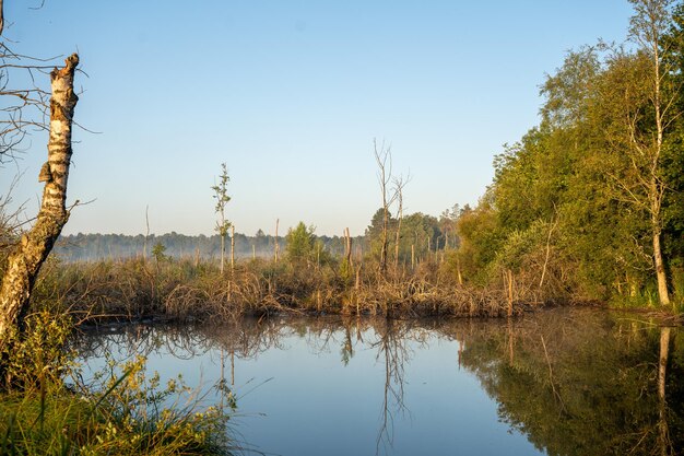 Scenic view of lake against clear sky