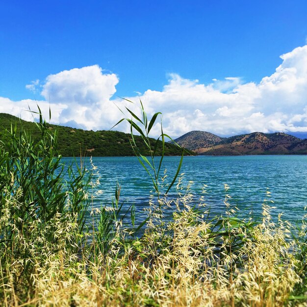 Scenic view of lake against cloudy sky