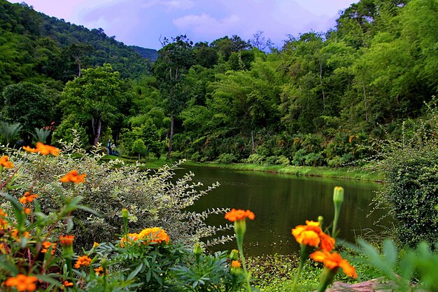 Scenic view of lake against cloudy sky