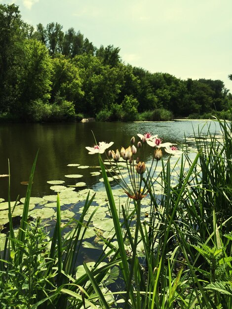 Scenic view of lake against cloudy sky