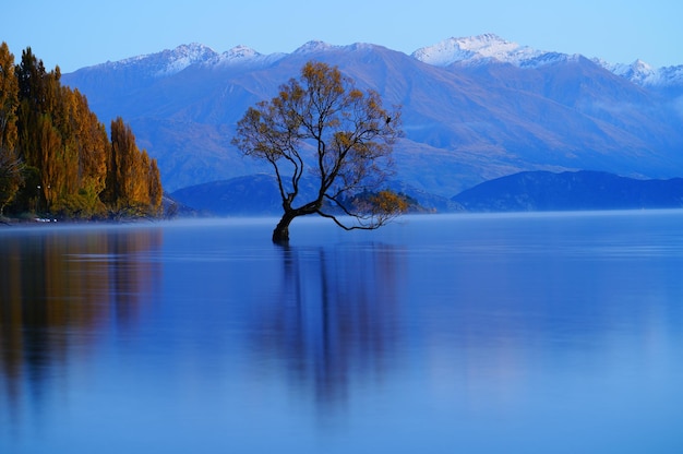 湖面與山脈的風景