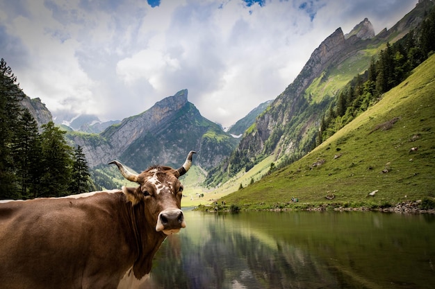 Photo scenic view of lake against mountains