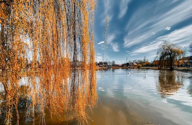 Scenic view of lake against sky during autumn