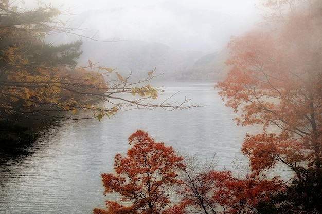 Scenic view of lake against sky during autumn