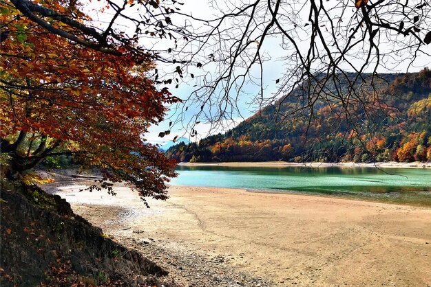 Scenic view of lake against sky during autumn