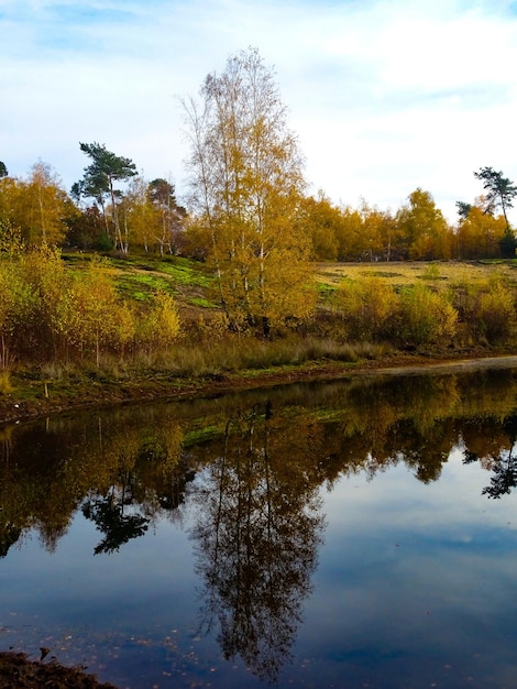 Photo scenic view of lake against sky during autumn