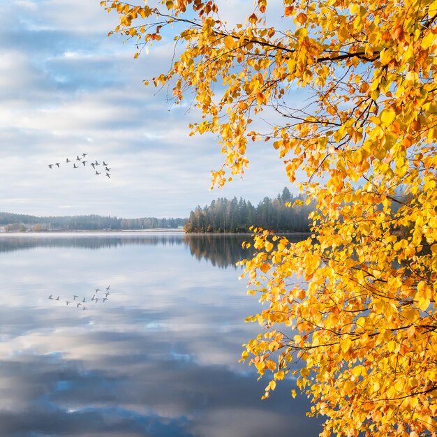 Scenic view of lake against sky during autumn