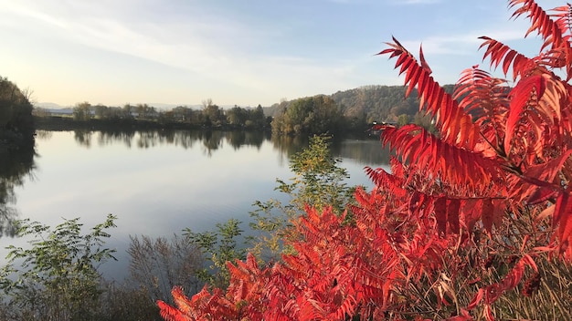 Foto vista panoramica del lago contro il cielo durante l'autunno