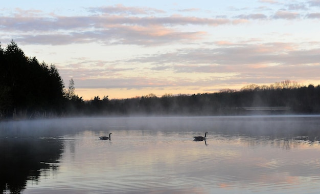 Foto vista panoramica del lago contro il cielo durante l'alba