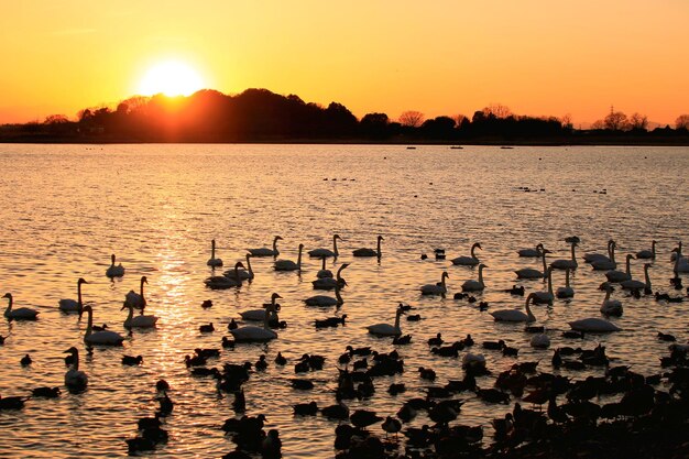 Foto vista panoramica del lago contro il cielo durante il tramonto