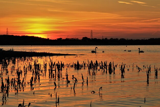 Scenic view of lake against sky during sunset