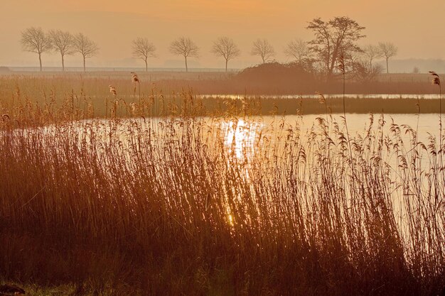 Scenic view of lake against sky during sunset