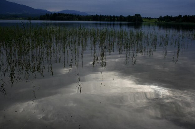 Scenic view of lake against sky during winter