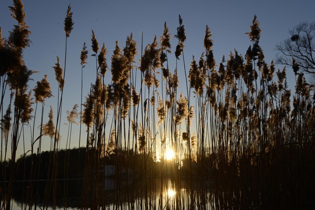 Scenic view of lake against sky at sunset