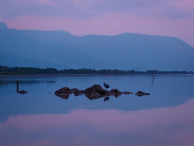 Фотография красивый вид на озеро на фоне неба во время захода солнца