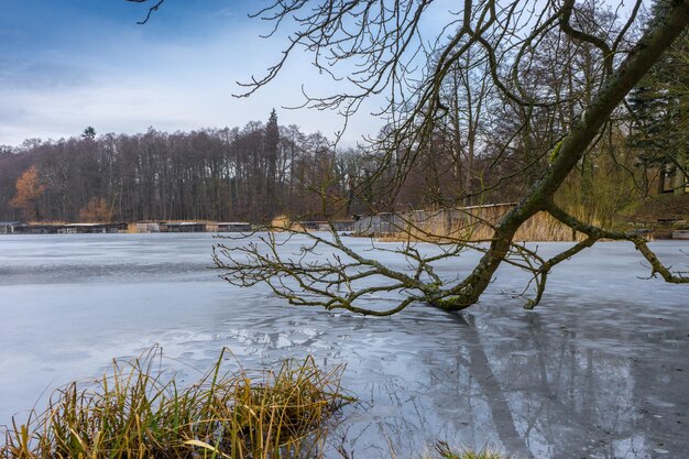 Scenic view of lake against sky during winter