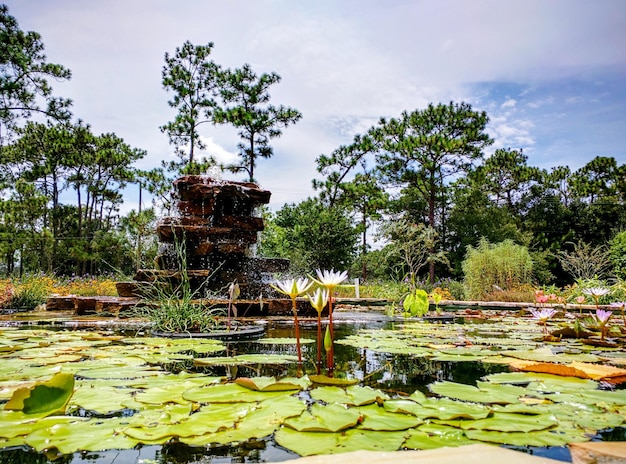 Foto la vista panoramica del lago contro il cielo