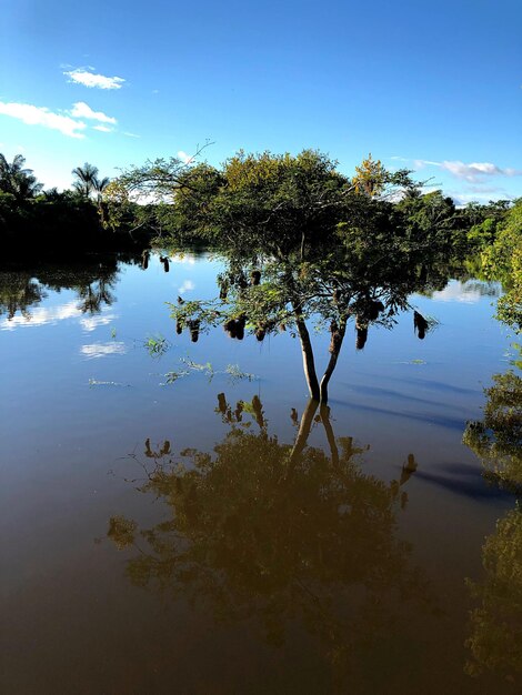 Scenic view of lake against sky