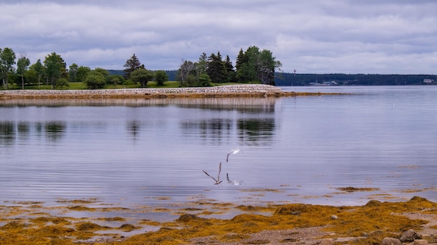 Foto la vista panoramica del lago contro il cielo