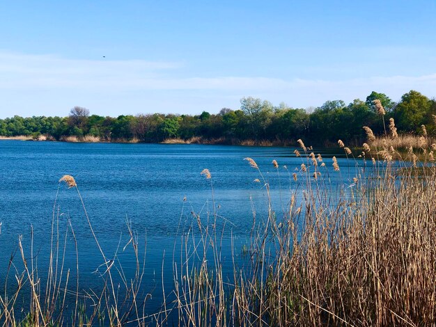 Scenic view of lake against sky