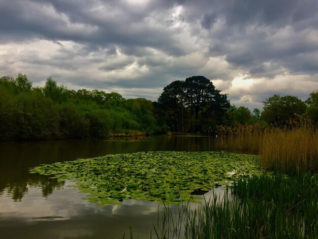 Foto vista panoramica del lago contro il cielo