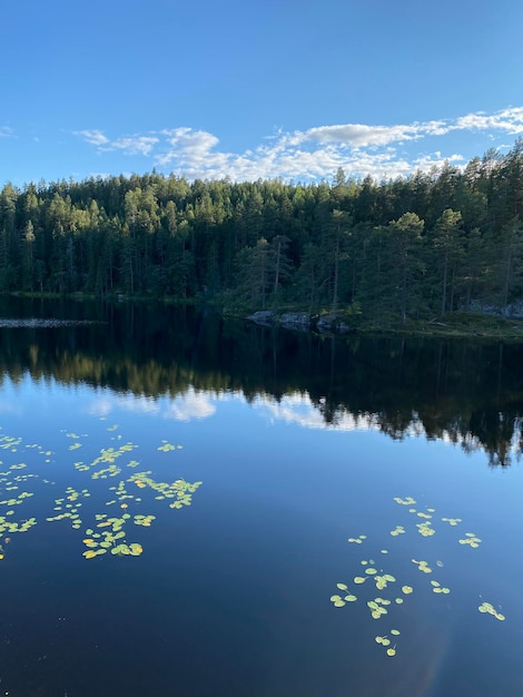 Photo scenic view of lake against sky