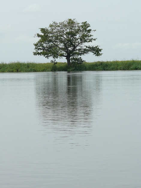 Photo scenic view of lake against sky