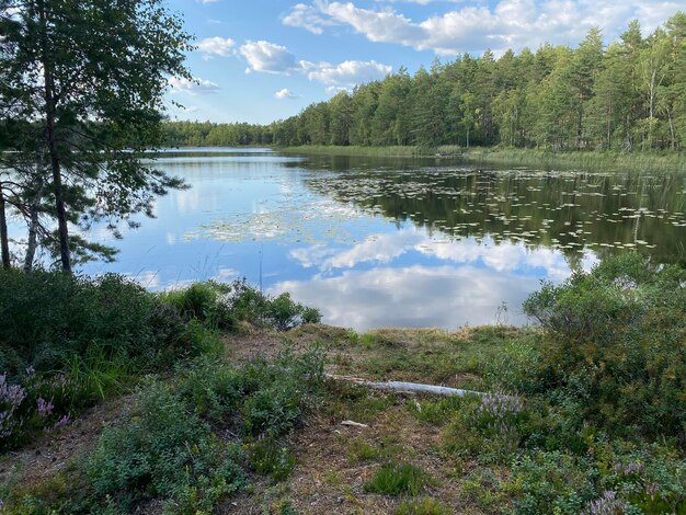 Scenic view of lake against sky