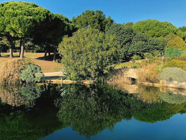 Foto la vista panoramica del lago contro il cielo