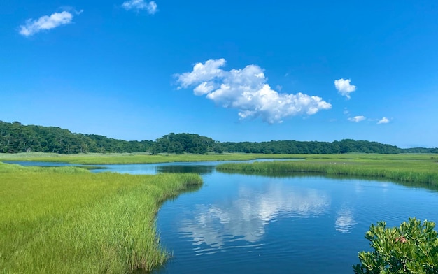 Scenic view of lake against sky