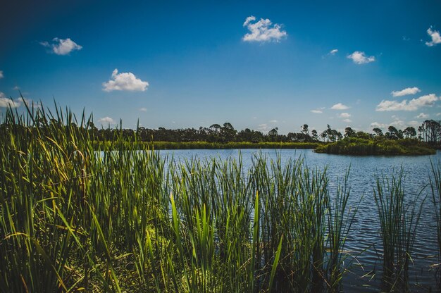 Scenic view of lake against sky