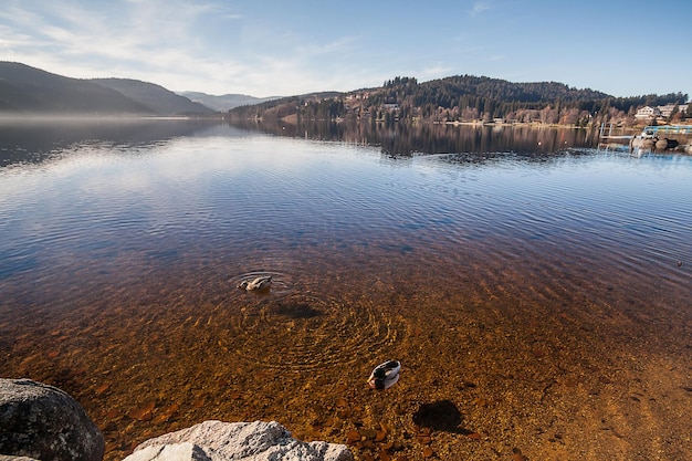 Scenic view of lake against sky