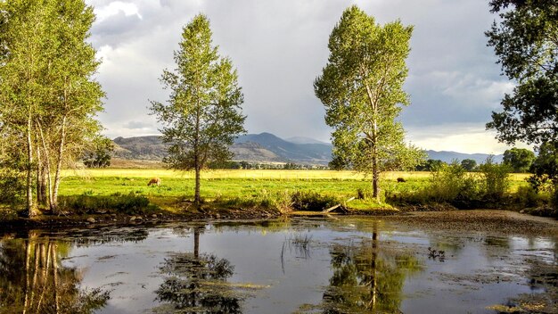 Scenic view of lake against sky