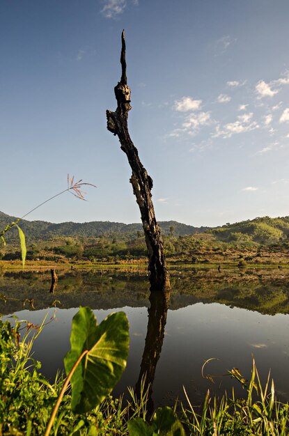 Foto la vista panoramica del lago contro il cielo