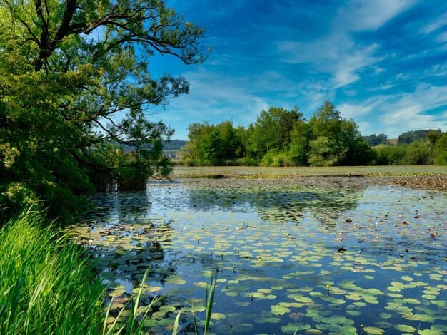 Scenic view of lake against sky