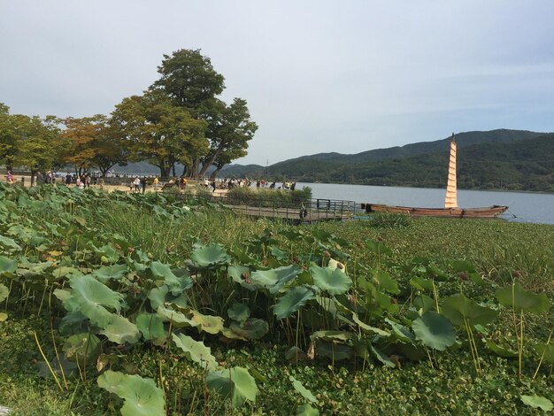 Photo scenic view of lake against sky