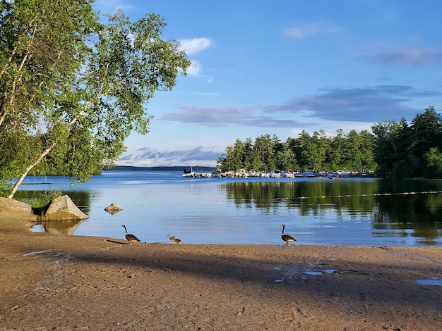 Foto la vista panoramica del lago contro il cielo